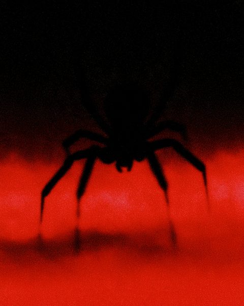 Rouge example